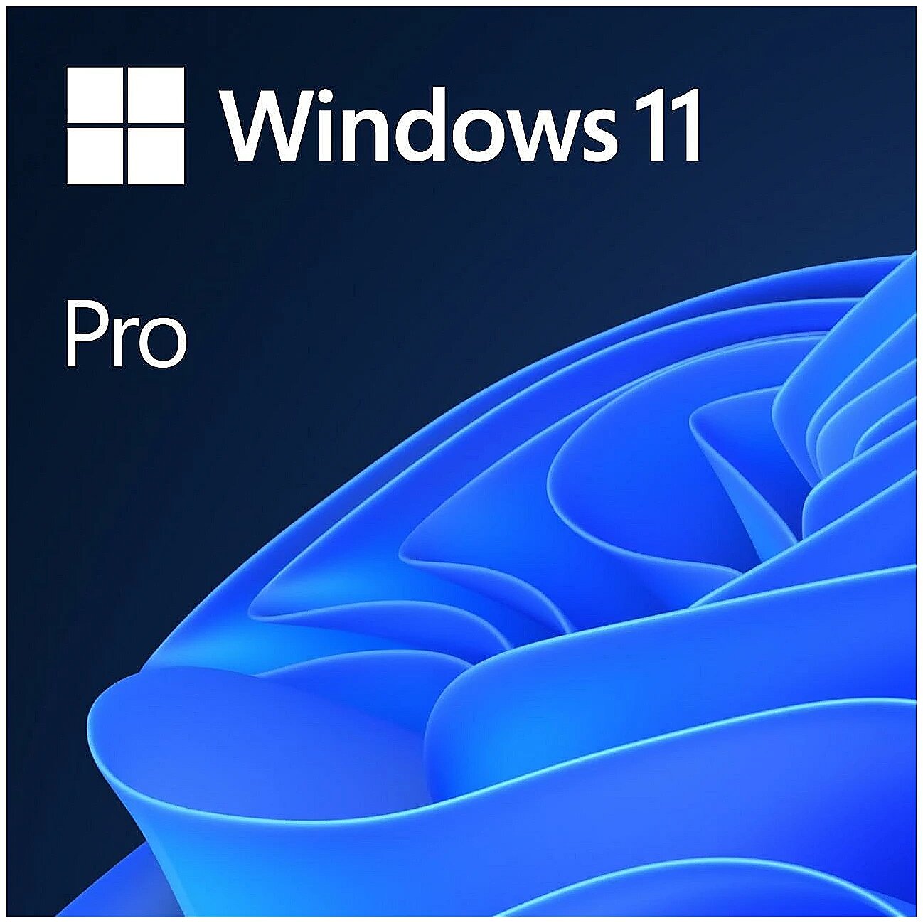 MICROSOFT%20WINDOWS%2011%20PRO%2064Bit%20OEM%20TR%20FQC-10556